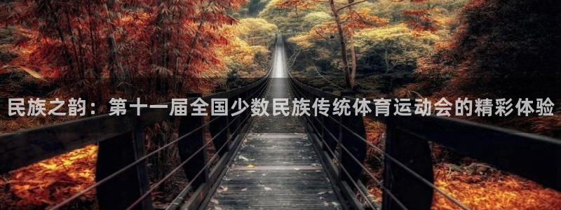 米兰体育靠谱吗：民族之韵：第十一届全国少数民族传统体育运动会的精彩体验