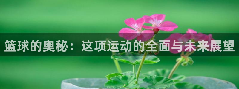 米兰体育中心：篮球的奥秘：这项运动的全面与未来展望