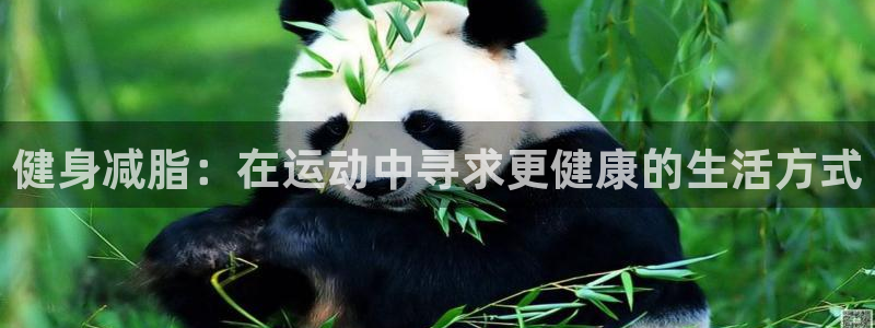 米兰体育综合官网