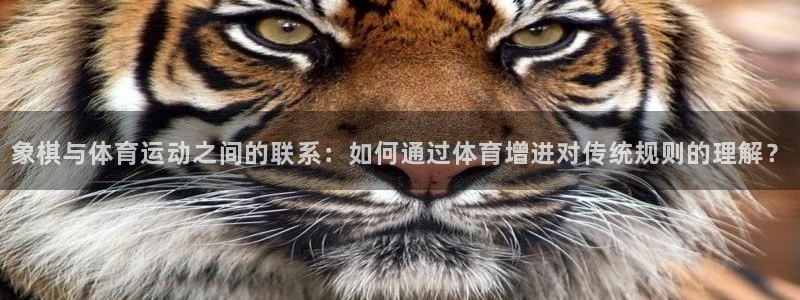 米兰体育平台：象棋与体育运动之间的联系：如何通过体育增进对传统规则的理解？