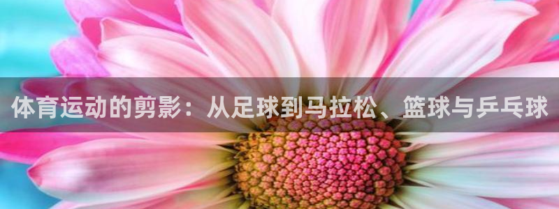米兰体育报官网：体育运动的剪影：从足球到马拉松、篮球与乒乓球